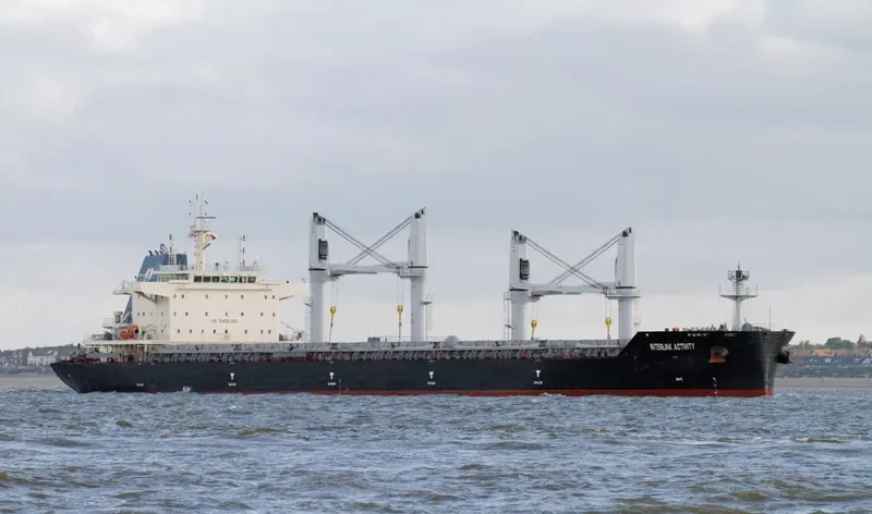 INTERLINK ACTIVITY Bulk Carrier IMO 9721413 photo 9