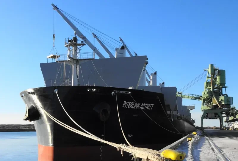 INTERLINK ACTIVITY Bulk Carrier IMO 9721413 photo 10