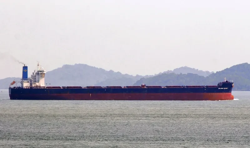 GOLDEN BARNET Bulk Carrier IMO 9721487 photo 2