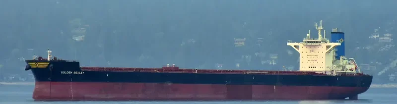 GOLDEN BEXLEY Bulk Carrier IMO 9721499