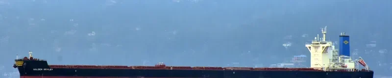 GOLDEN BEXLEY Bulk Carrier IMO 9721499 photo 2