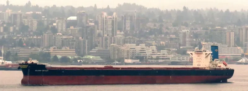 GOLDEN BEXLEY Bulk Carrier IMO 9721499 photo 3