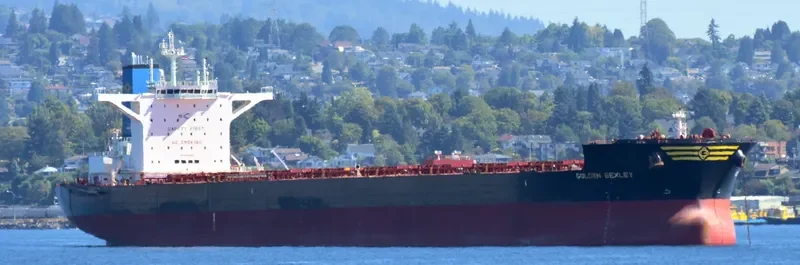 GOLDEN BEXLEY Bulk Carrier IMO 9721499 photo 6
