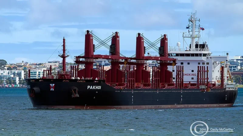 PAKHOI Bulk Carrier IMO 9721554 photo 2
