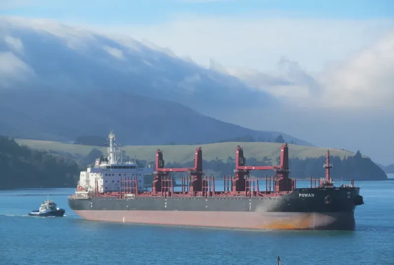 POWAN Bulk Carrier IMO 9721578 photo 2