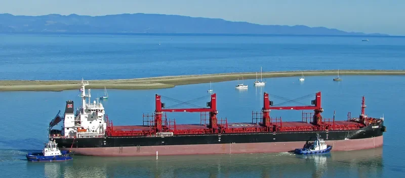 POWAN Bulk Carrier IMO 9721578 photo 3