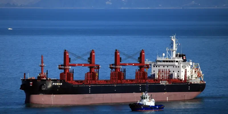 POWAN Bulk Carrier IMO 9721578 photo 9