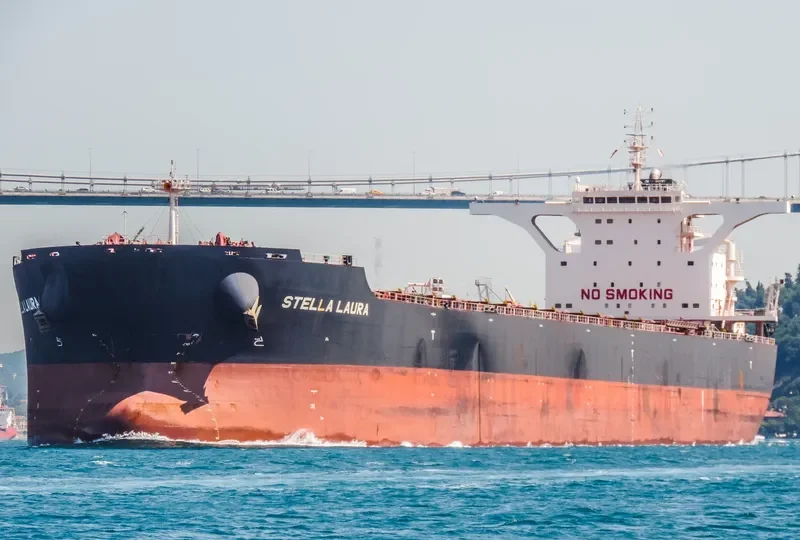 STELLA LAURA Bulk Carrier IMO 9721671 photo 2