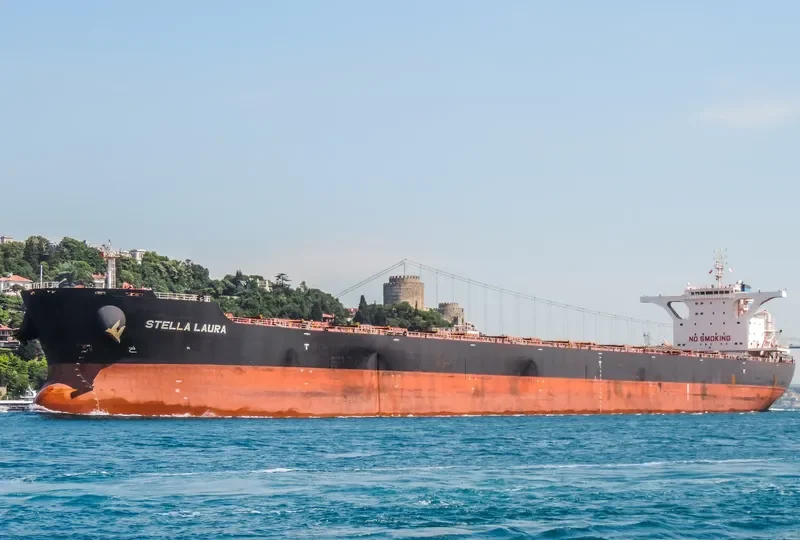 STELLA LAURA Bulk Carrier IMO 9721671 photo 3