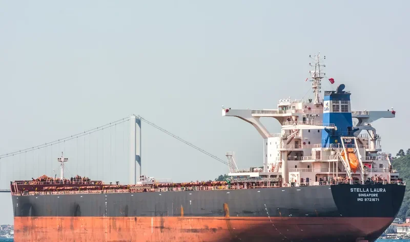STELLA LAURA Bulk Carrier IMO 9721671 photo 4