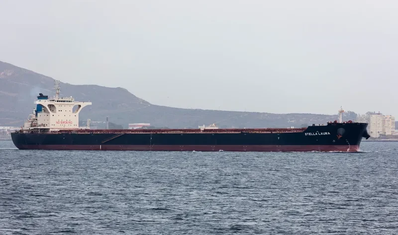 STELLA LAURA Bulk Carrier IMO 9721671 photo 6