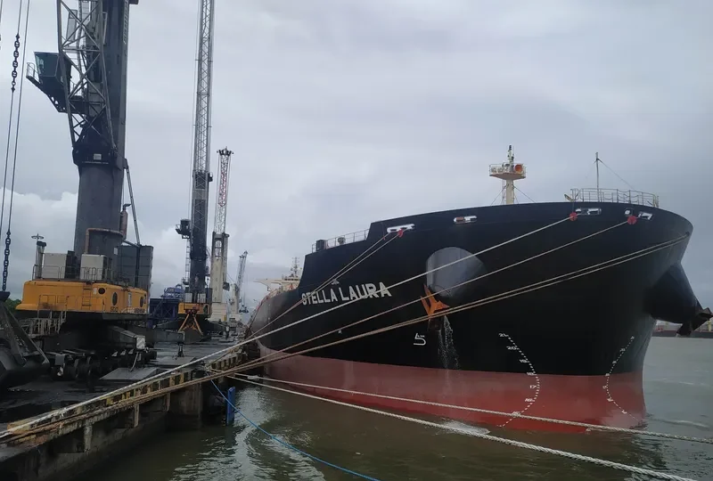STELLA LAURA Bulk Carrier IMO 9721671 photo 10