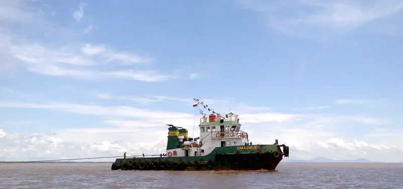 RIMAU 1608 General Cargo IMO 9721839 photo 2