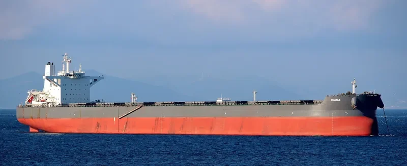 MINOAS Bulk Carrier IMO 9721865 photo 2