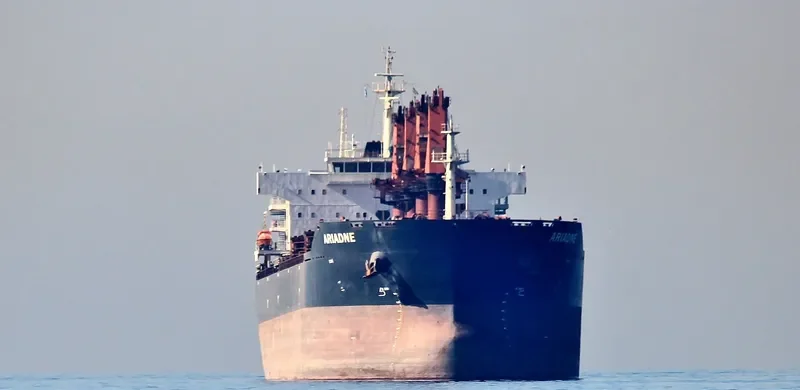 ARIADNE Bulk Carrier IMO 9721877