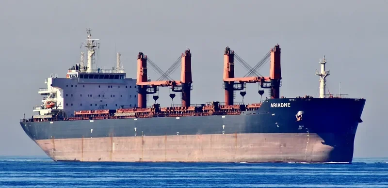 ARIADNE Bulk Carrier IMO 9721877 photo 3