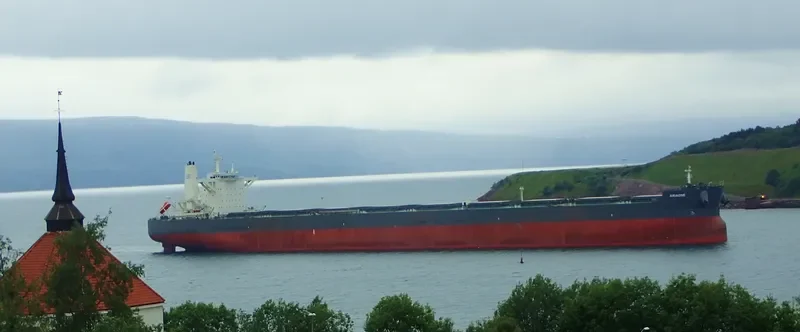 ARIADNE Bulk Carrier IMO 9721877 photo 8