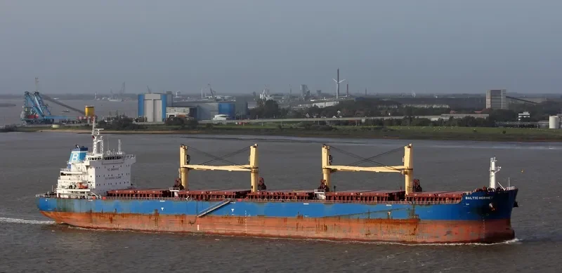 BALTIC HORNET Bulk Carrier IMO 9721932