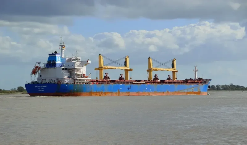 BALTIC HORNET Bulk Carrier IMO 9721932 photo 2