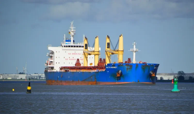 BALTIC HORNET Bulk Carrier IMO 9721932 photo 3
