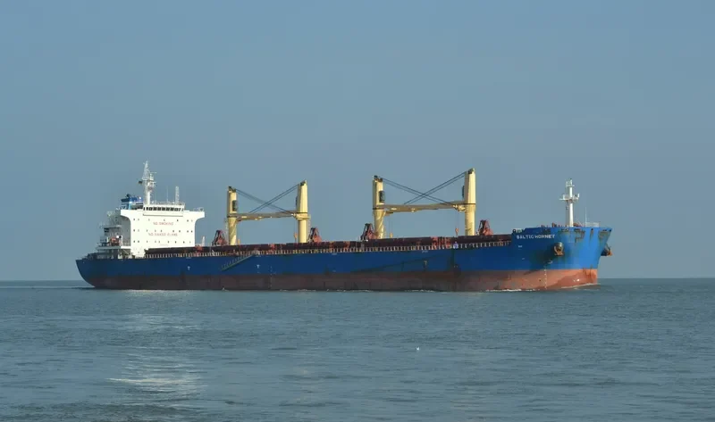 BALTIC HORNET Bulk Carrier IMO 9721932 photo 4