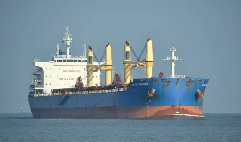 BALTIC HORNET Bulk Carrier IMO 9721932 photo 5