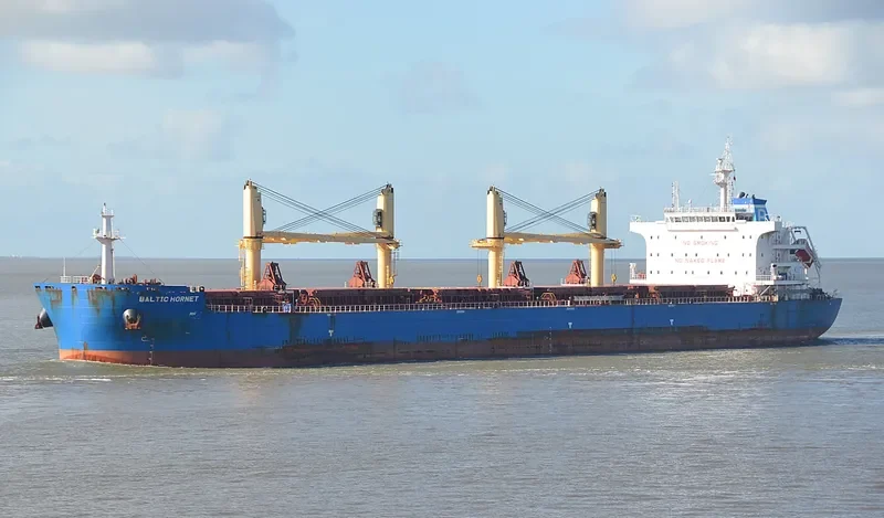 BALTIC HORNET Bulk Carrier IMO 9721932 photo 6
