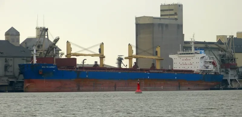 BALTIC HORNET Bulk Carrier IMO 9721932 photo 7