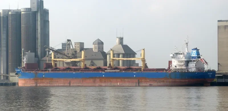 BALTIC HORNET Bulk Carrier IMO 9721932 photo 8