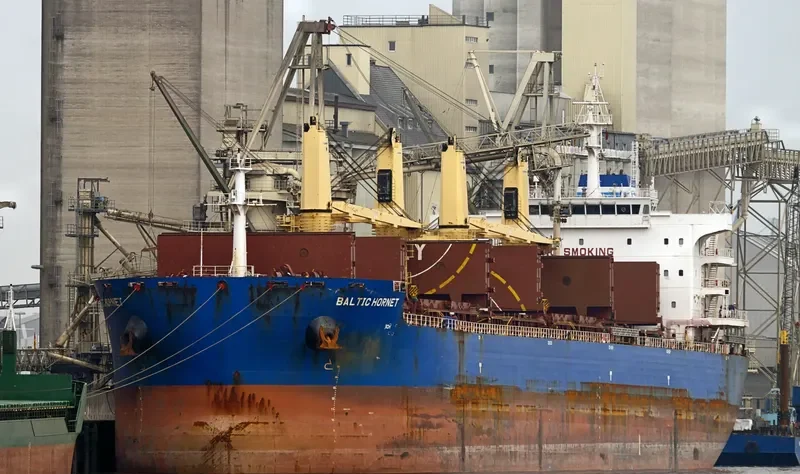 BALTIC HORNET Bulk Carrier IMO 9721932 photo 9