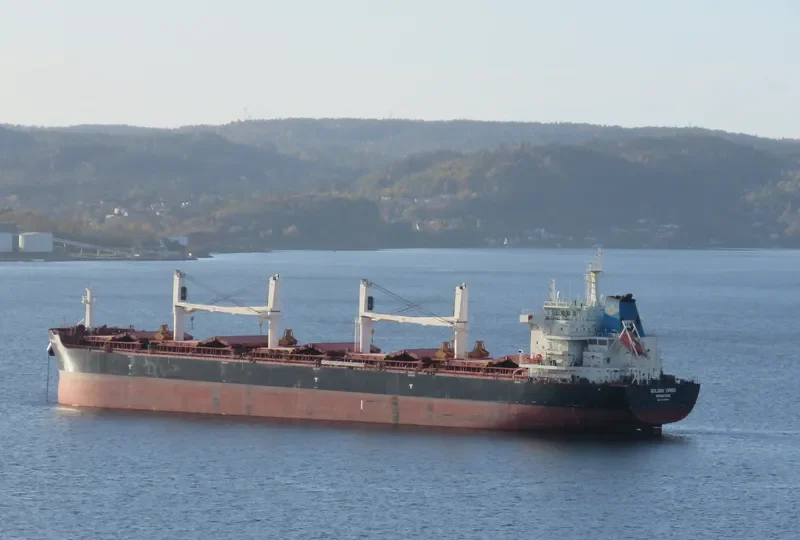 SBI VIRGO Bulk Carrier IMO 9721994
