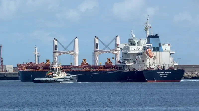 SBI VIRGO Bulk Carrier IMO 9721994 photo 3