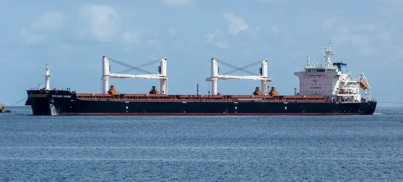 SBI VIRGO Bulk Carrier IMO 9721994 photo 4