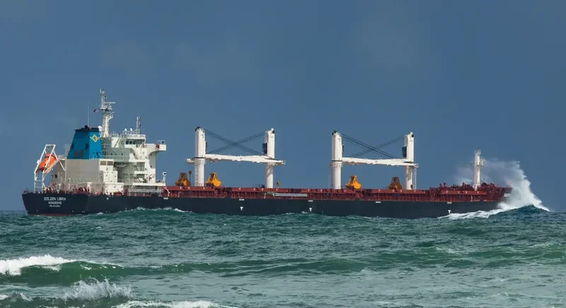 LIBERTANGO Bulk Carrier IMO 9722003 photo 7