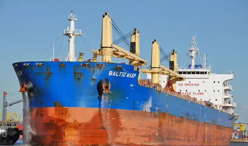 BALTIC WASP Bulk Carrier IMO 9722015