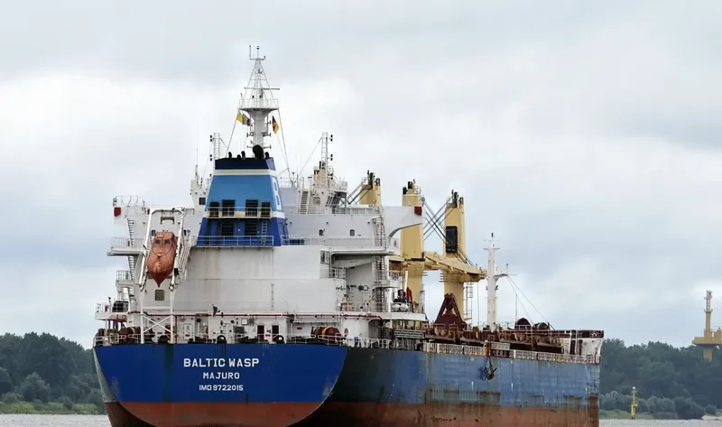 BALTIC WASP Bulk Carrier IMO 9722015 photo 2