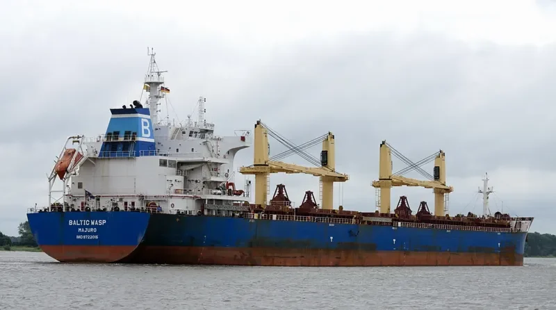 BALTIC WASP Bulk Carrier IMO 9722015 photo 3