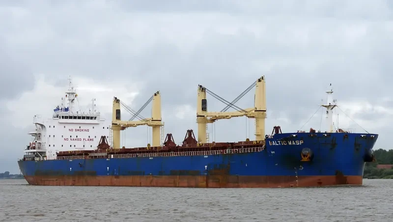 BALTIC WASP Bulk Carrier IMO 9722015 photo 4