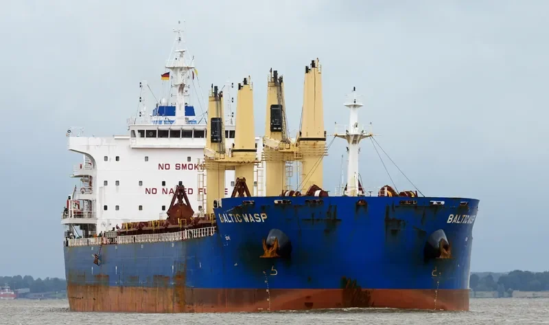 BALTIC WASP Bulk Carrier IMO 9722015 photo 5