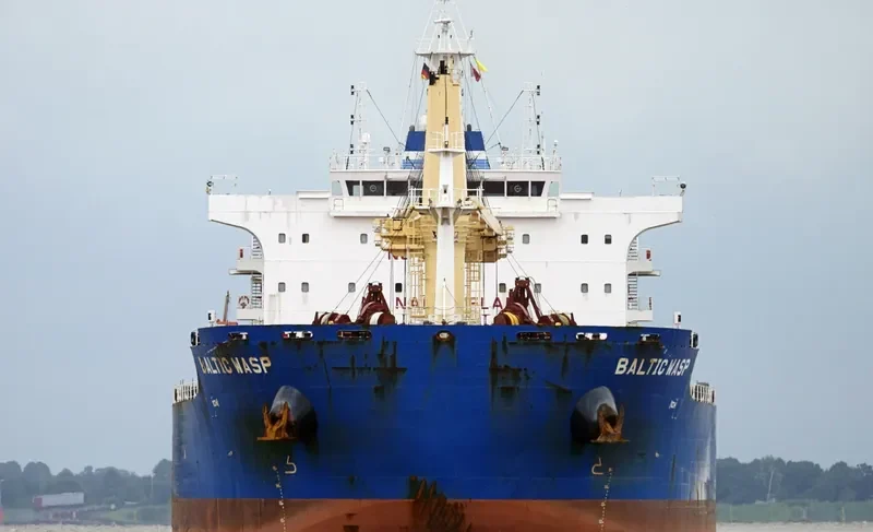 BALTIC WASP Bulk Carrier IMO 9722015 photo 6