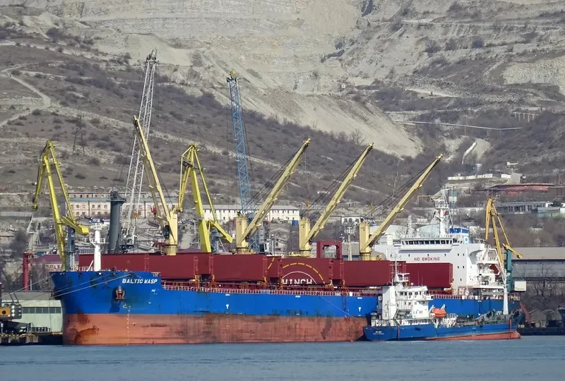 BALTIC WASP Bulk Carrier IMO 9722015 photo 8