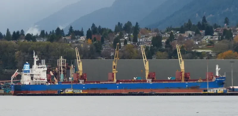 BALTIC WASP Bulk Carrier IMO 9722015 photo 9