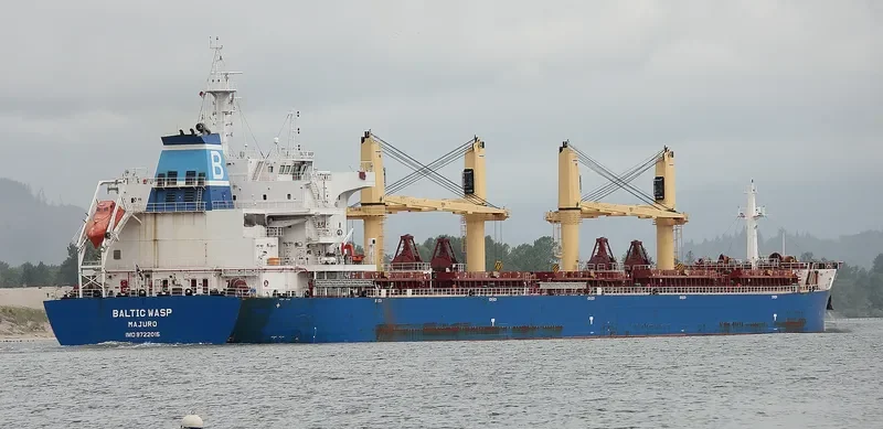 BALTIC WASP Bulk Carrier IMO 9722015 photo 10