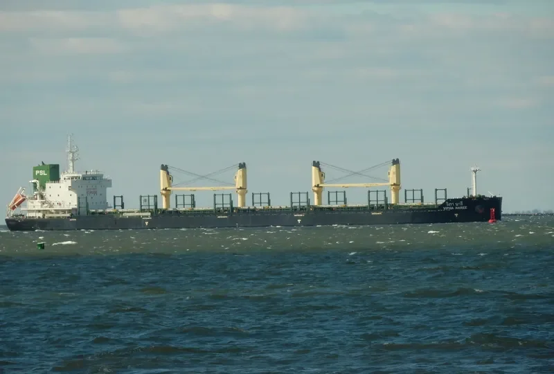 VIPHA NAREE Bulk Carrier IMO 9722027 photo 2