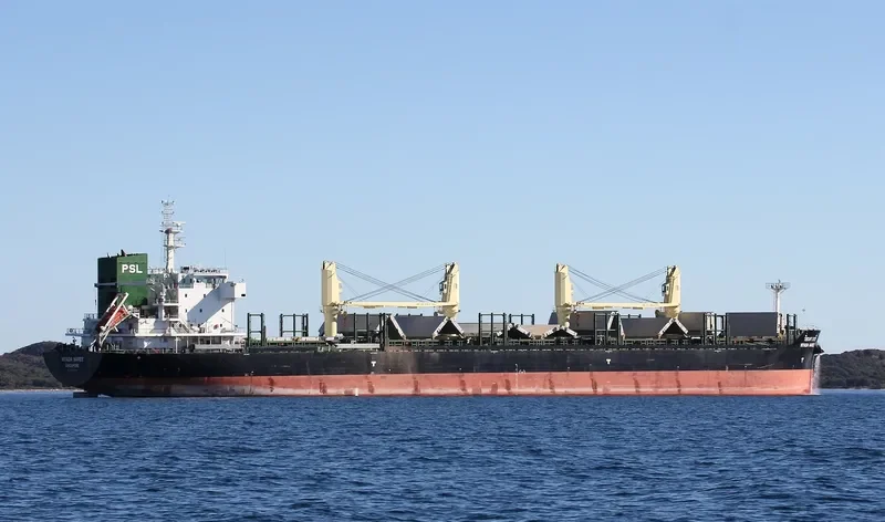 VIYADA NAREE Bulk Carrier IMO 9722039 photo 2