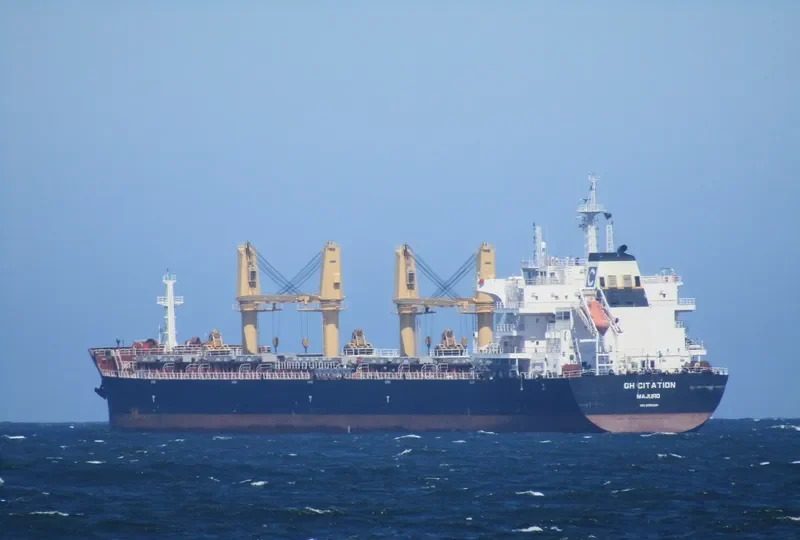JABAL AR RAWDAH Bulk Carrier IMO 9722041 photo 2