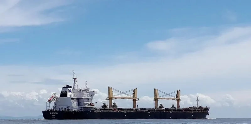 JABAL AR RAWDAH Bulk Carrier IMO 9722041 photo 3