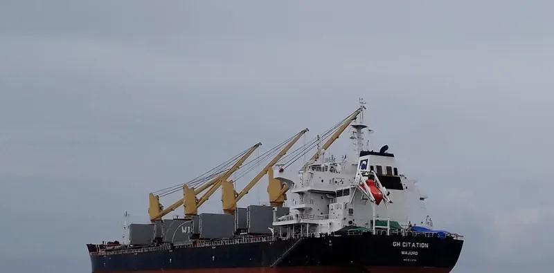 JABAL AR RAWDAH Bulk Carrier IMO 9722041 photo 4