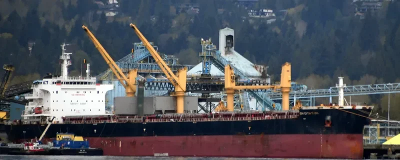 JABAL AR RAWDAH Bulk Carrier IMO 9722041 photo 5