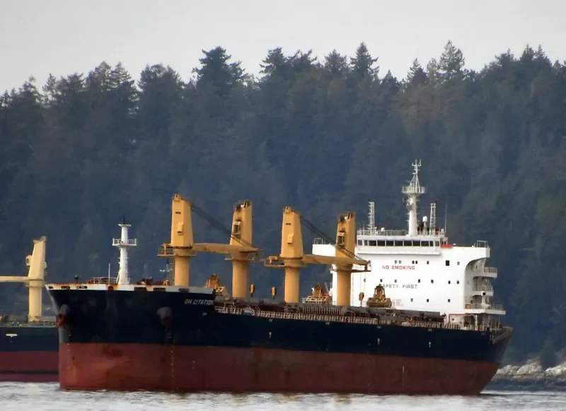 JABAL AR RAWDAH Bulk Carrier IMO 9722041 photo 6